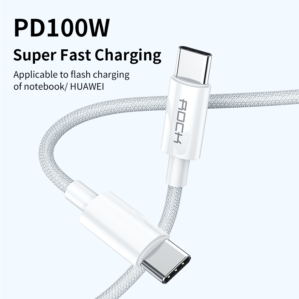 ROCK R6 Type C To C 100W PD Fast Charge Cable 